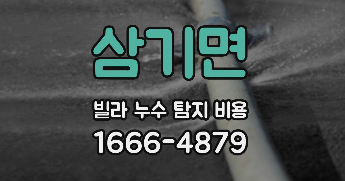 삼기면 빌라 누수 탐지 비용