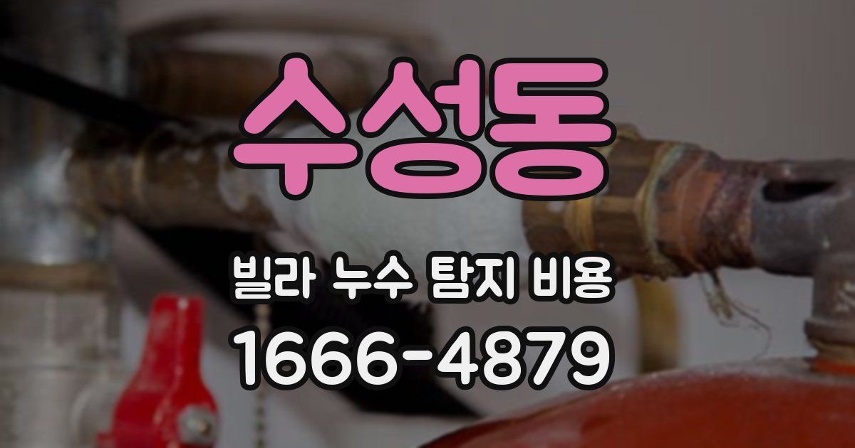 수성동 빌라 누수 탐지 비용