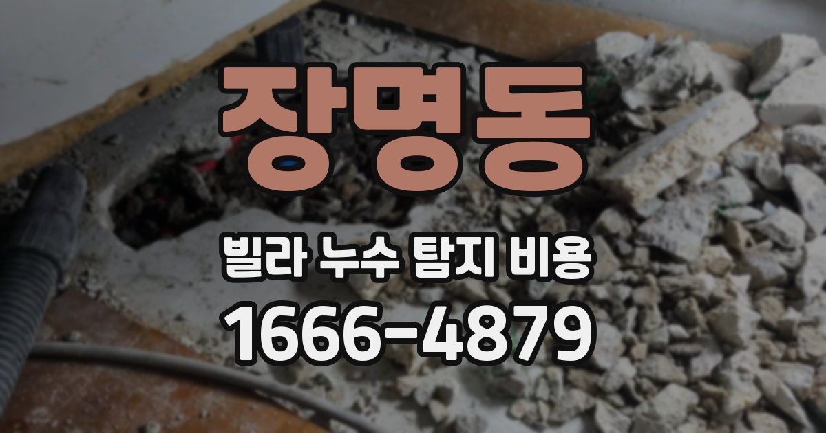 장명동 빌라 누수 탐지 비용