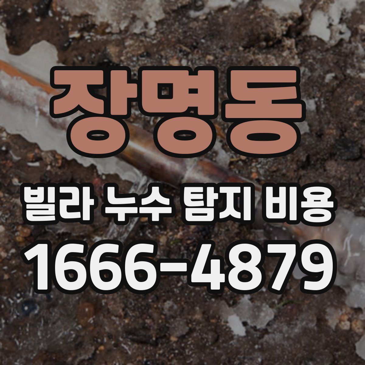 장명동 빌라 누수 탐지 비용