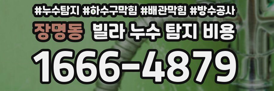 장명동 빌라 누수 탐지 비용