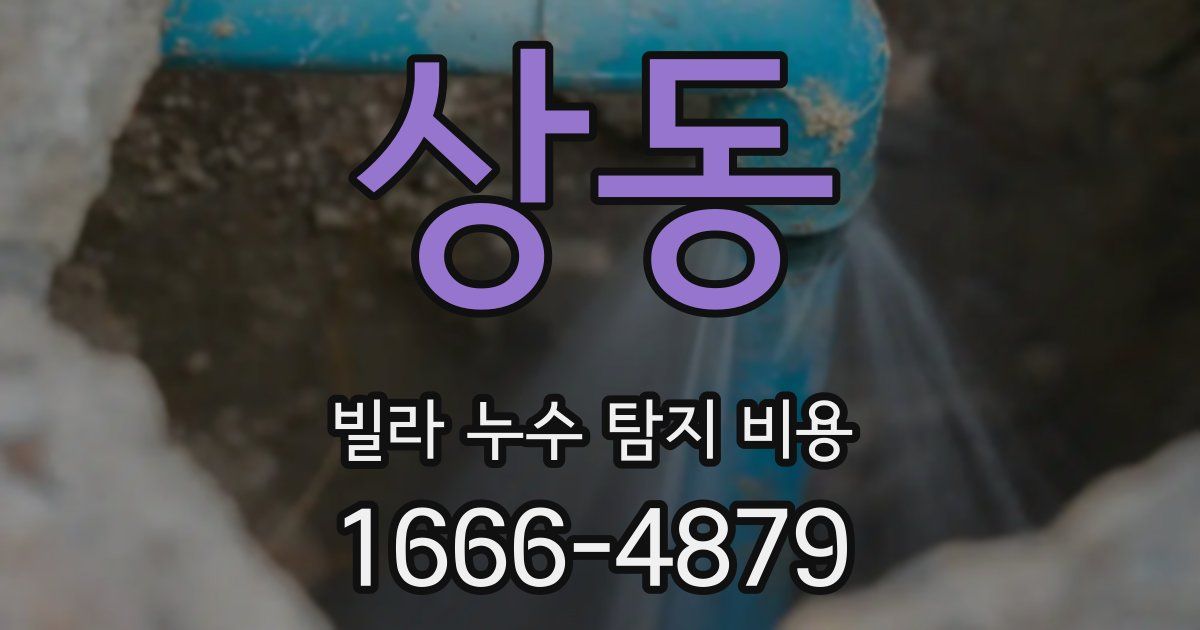 상동 빌라 누수 탐지 비용
