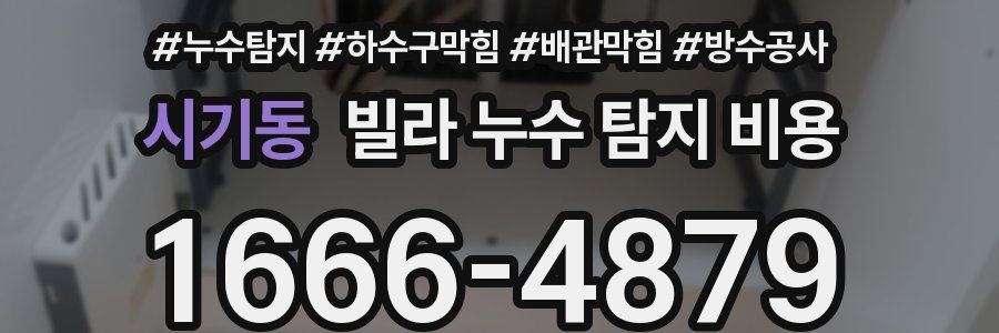 시기동 빌라 누수 탐지 비용