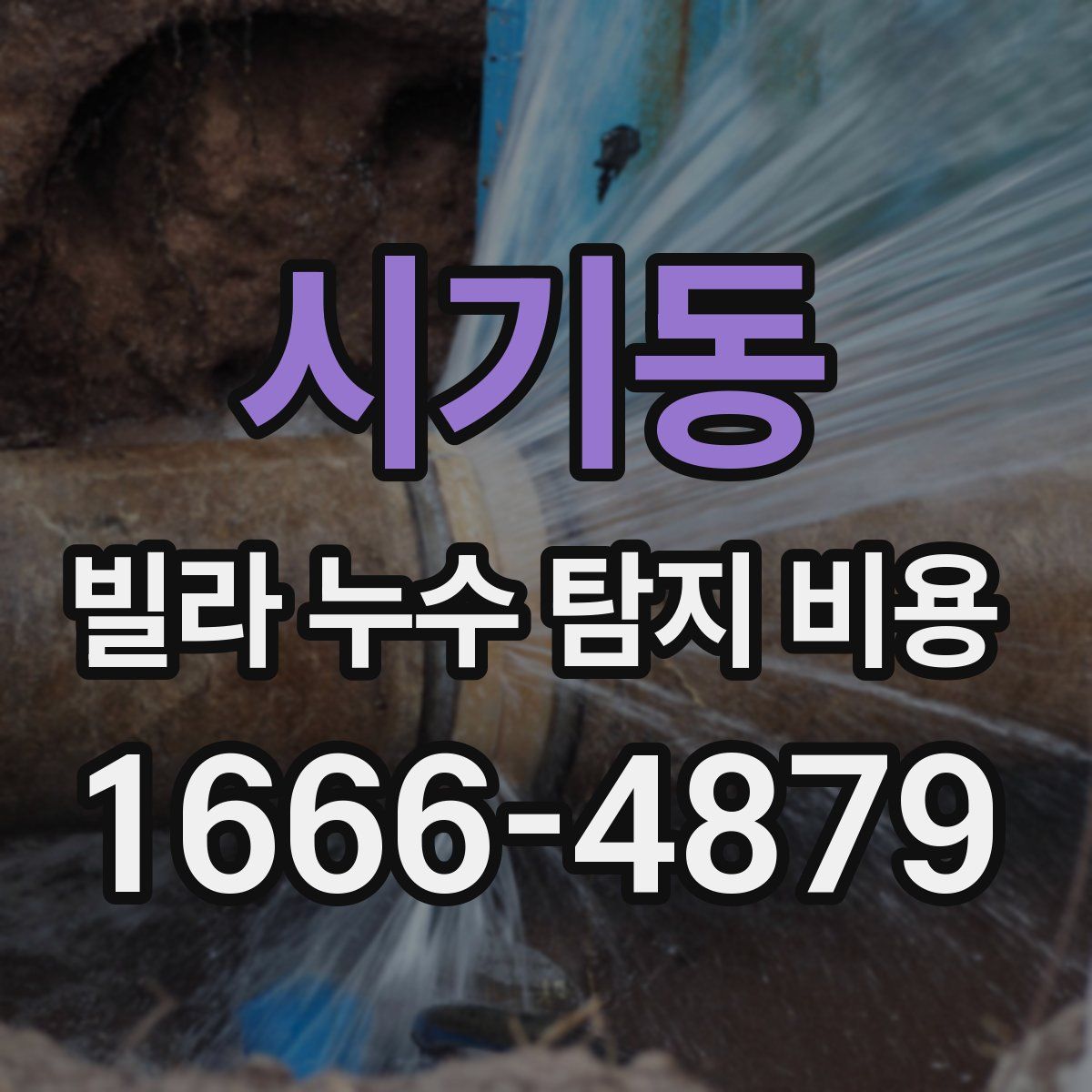 시기동 빌라 누수 탐지 비용
