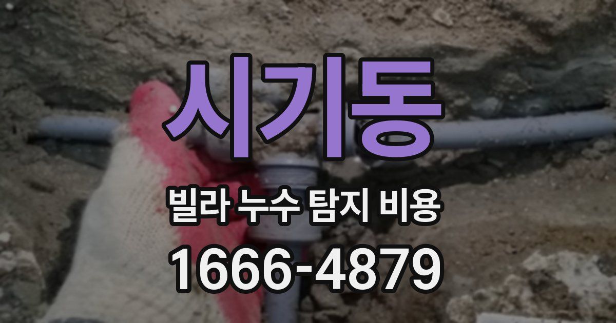 시기동 빌라 누수 탐지 비용