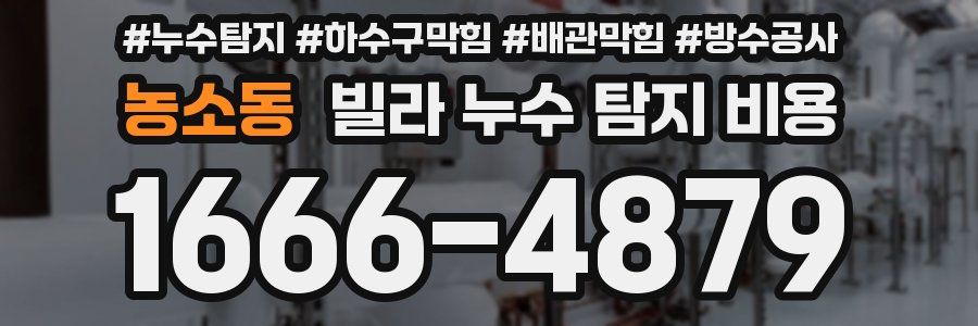농소동 빌라 누수 탐지 비용