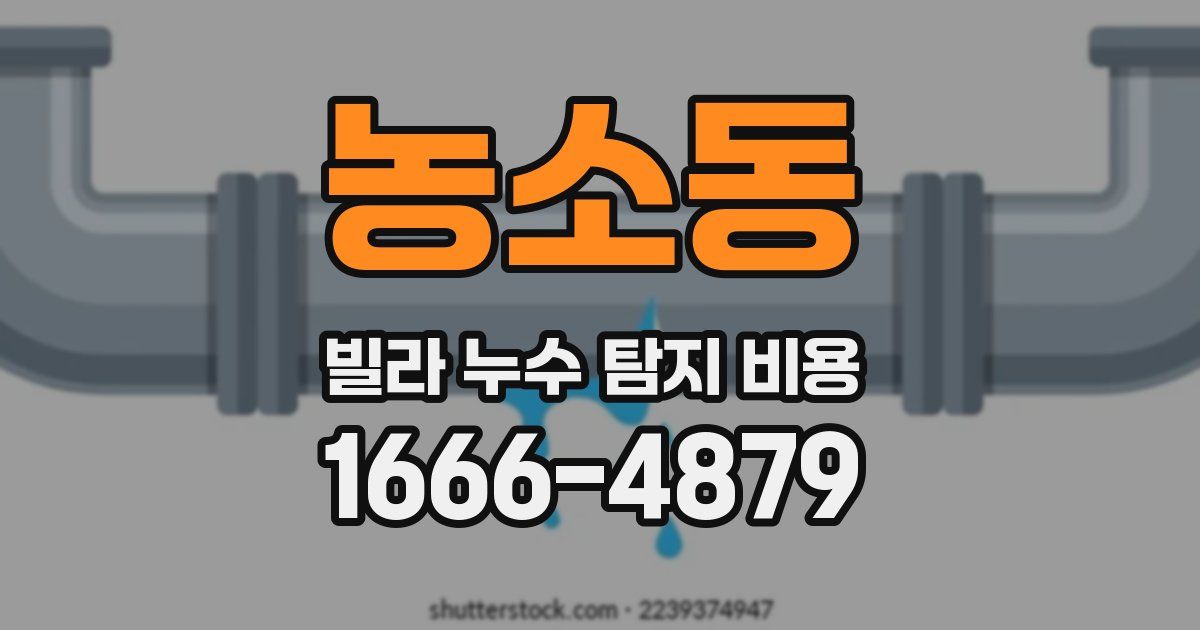 농소동 빌라 누수 탐지 비용