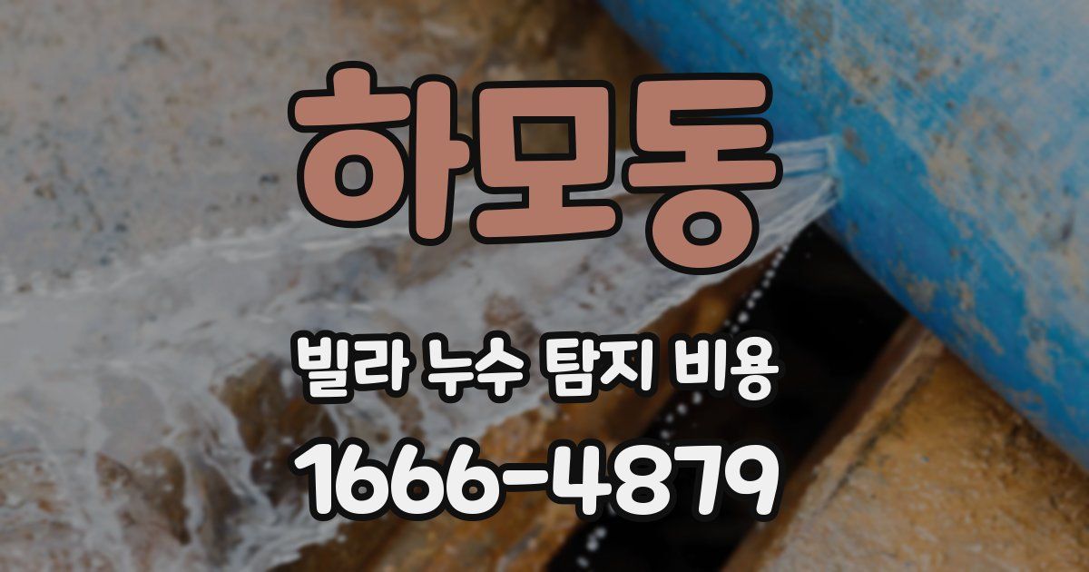하모동 빌라 누수 탐지 비용