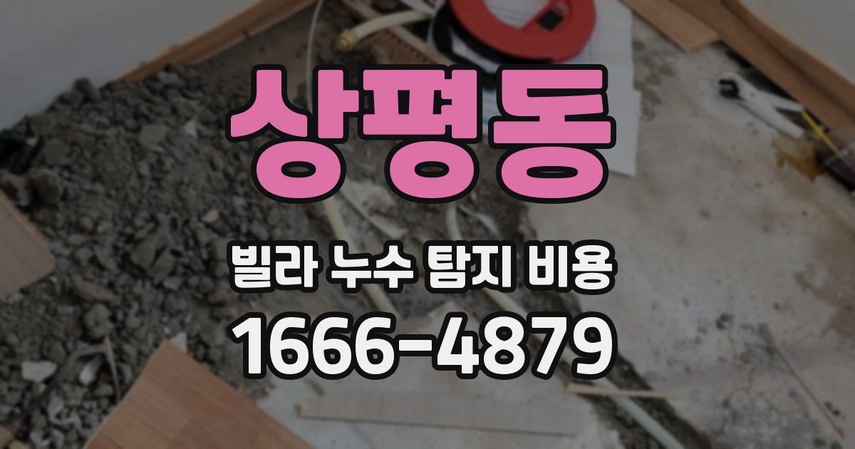 상평동 빌라 누수 탐지 비용
