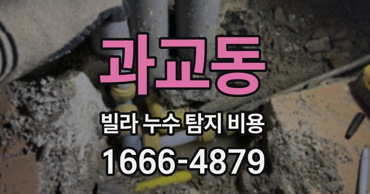 과교동 빌라 누수 탐지 비용