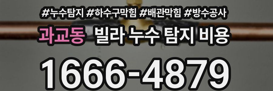 과교동 빌라 누수 탐지 비용