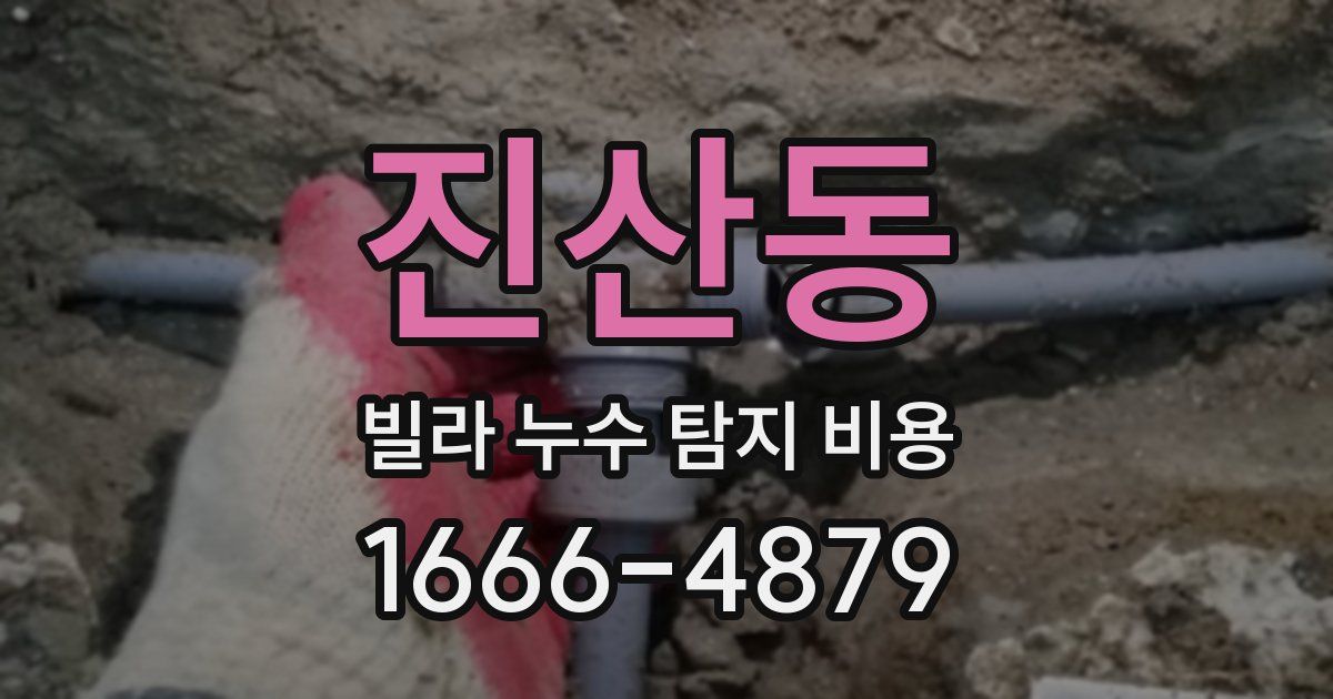 진산동 빌라 누수 탐지 비용