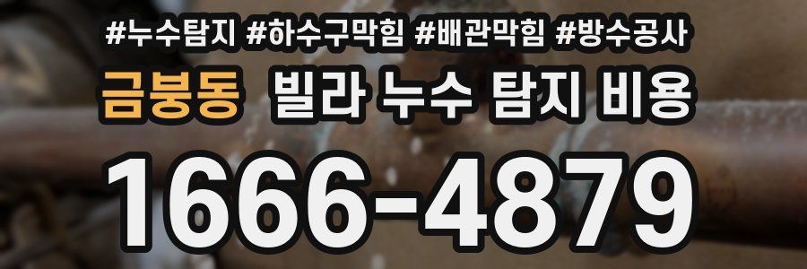 금붕동 빌라 누수 탐지 비용