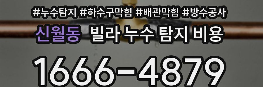 신월동 빌라 누수 탐지 비용