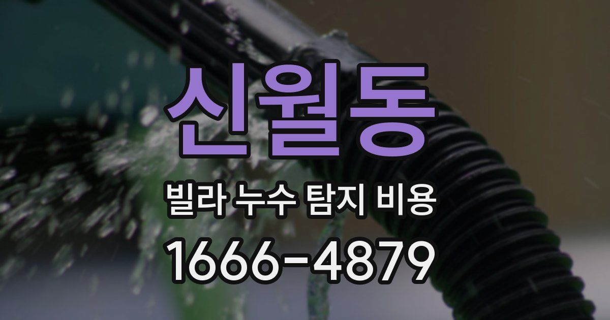 신월동 빌라 누수 탐지 비용