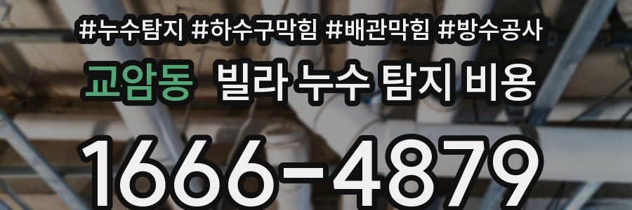 교암동 빌라 누수 탐지 비용