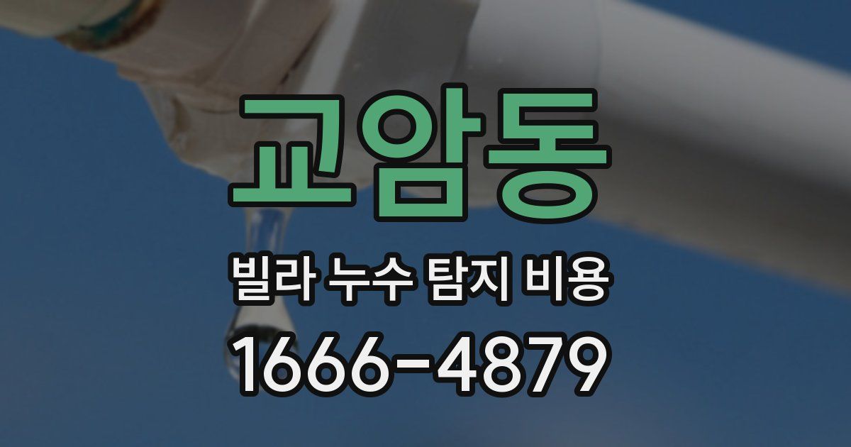 교암동 빌라 누수 탐지 비용