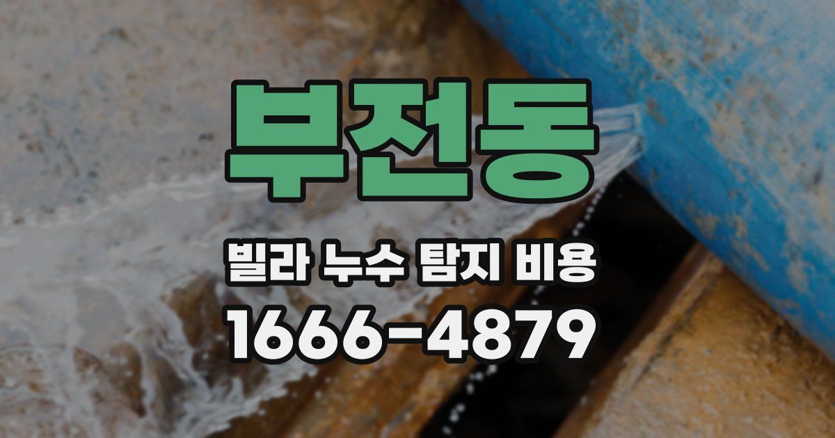 부전동 빌라 누수 탐지 비용