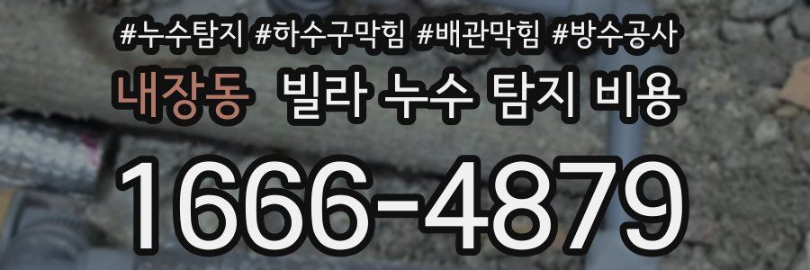내장동 빌라 누수 탐지 비용