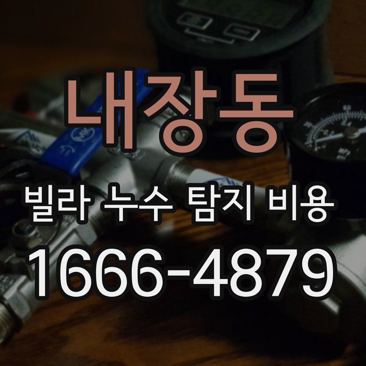 내장동 빌라 누수 탐지 비용