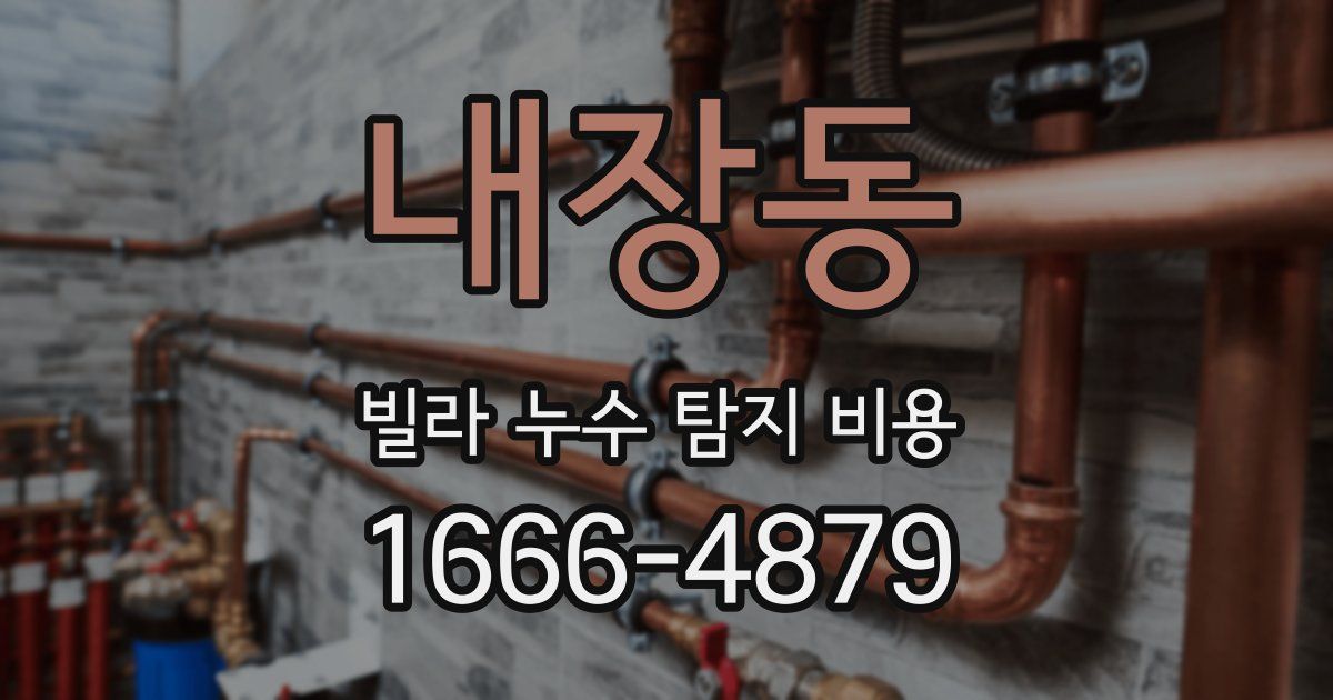 내장동 빌라 누수 탐지 비용
