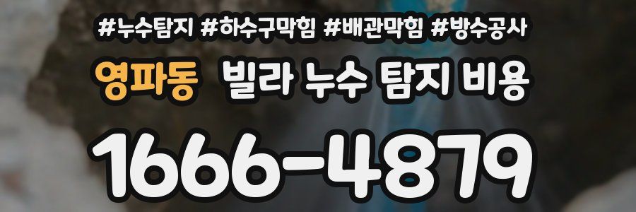 영파동 빌라 누수 탐지 비용
