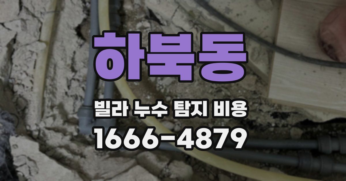 하북동 빌라 누수 탐지 비용