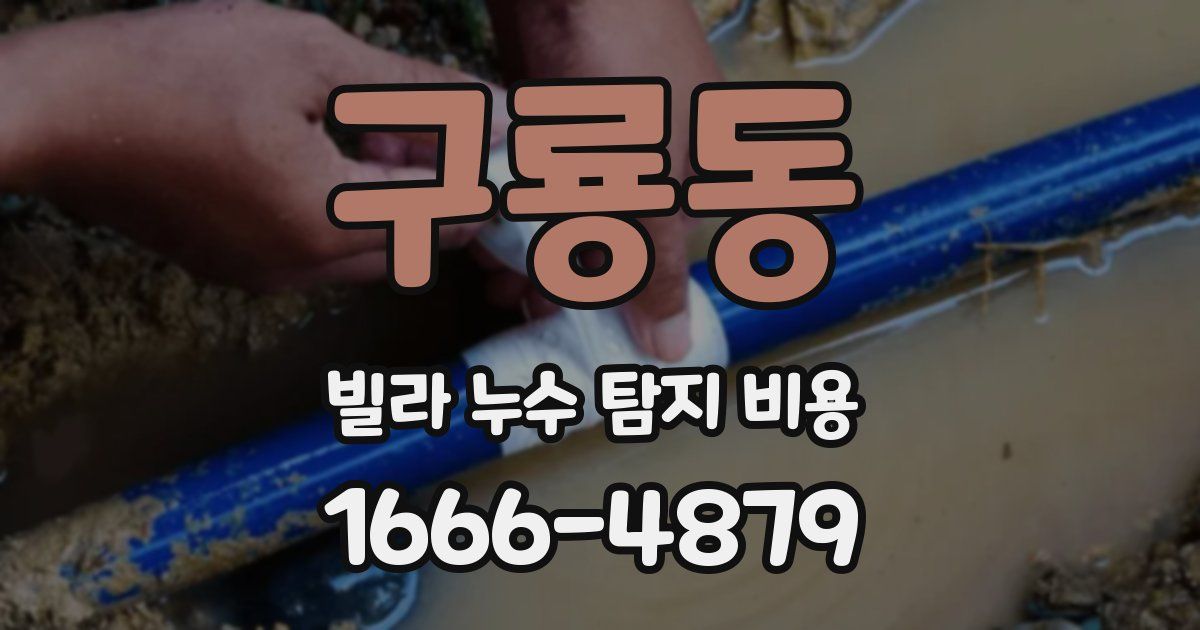 구룡동 빌라 누수 탐지 비용