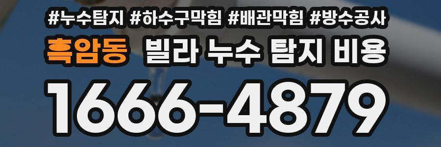 흑암동 빌라 누수 탐지 비용