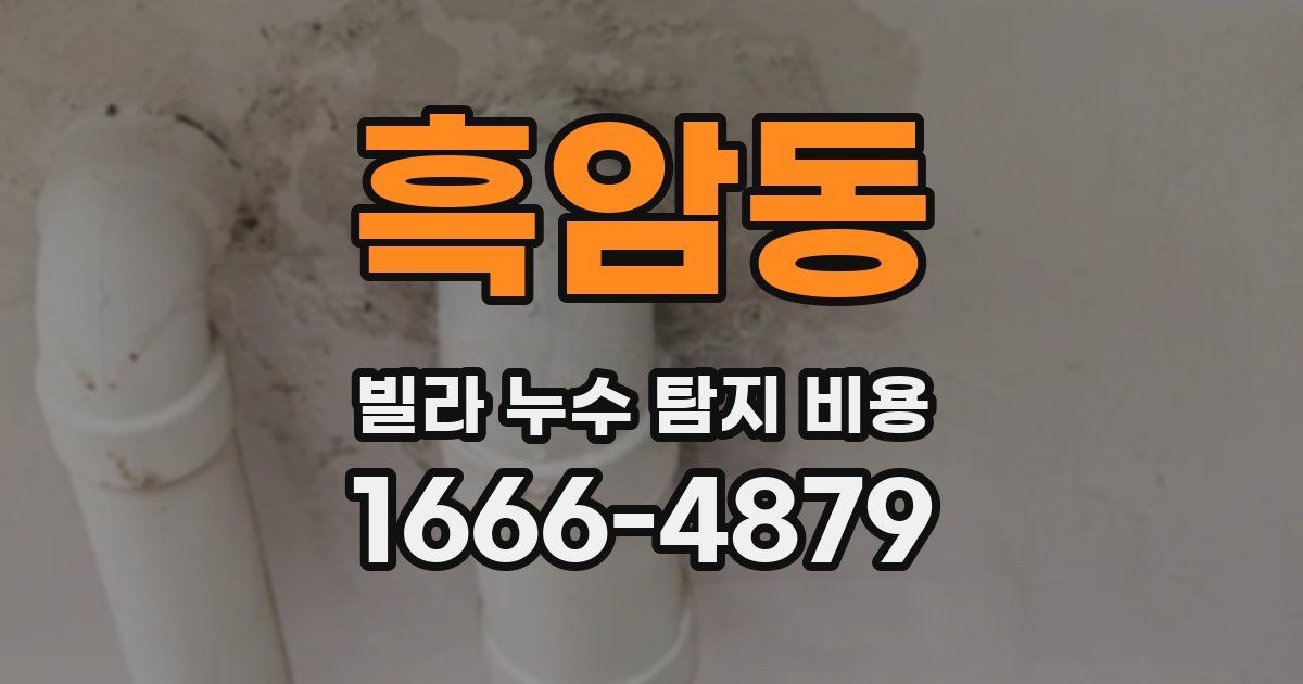 흑암동 빌라 누수 탐지 비용