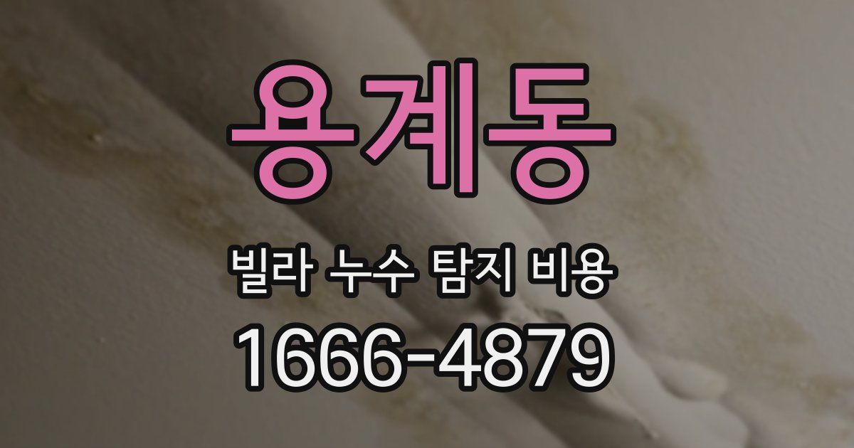 용계동 빌라 누수 탐지 비용