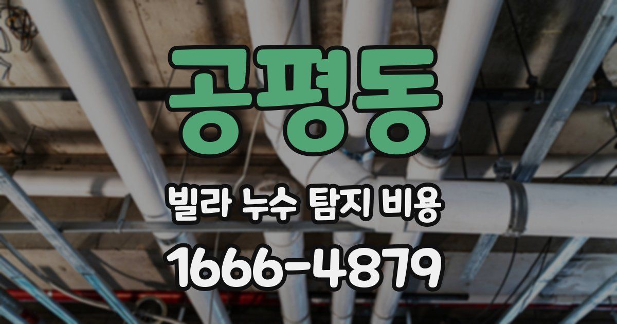 공평동 빌라 누수 탐지 비용