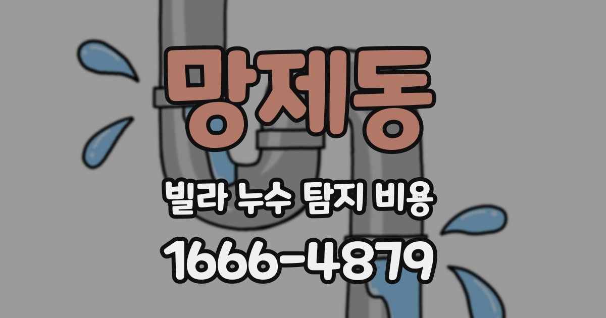 망제동 빌라 누수 탐지 비용