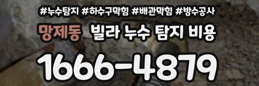 망제동 빌라 누수 탐지 비용