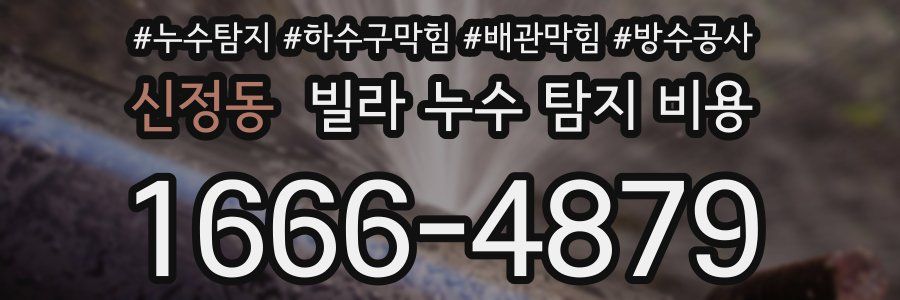신정동 빌라 누수 탐지 비용