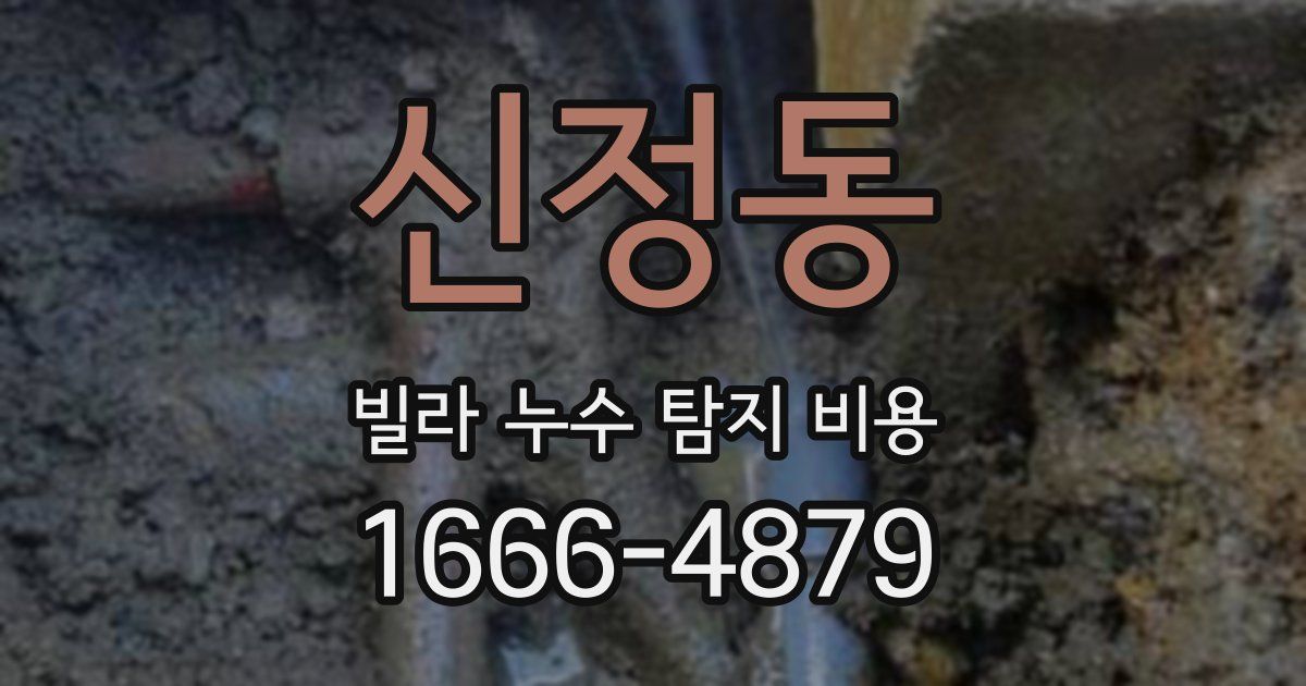 신정동 빌라 누수 탐지 비용