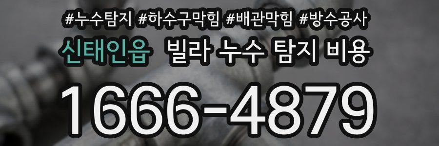 신태인읍 빌라 누수 탐지 비용