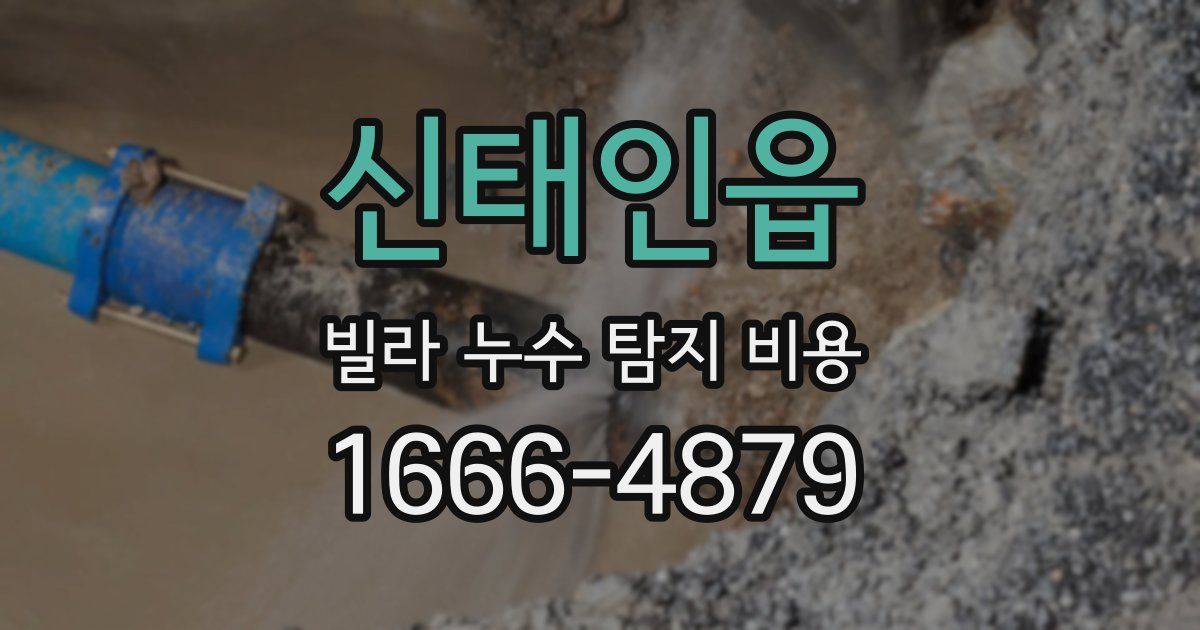 신태인읍 빌라 누수 탐지 비용
