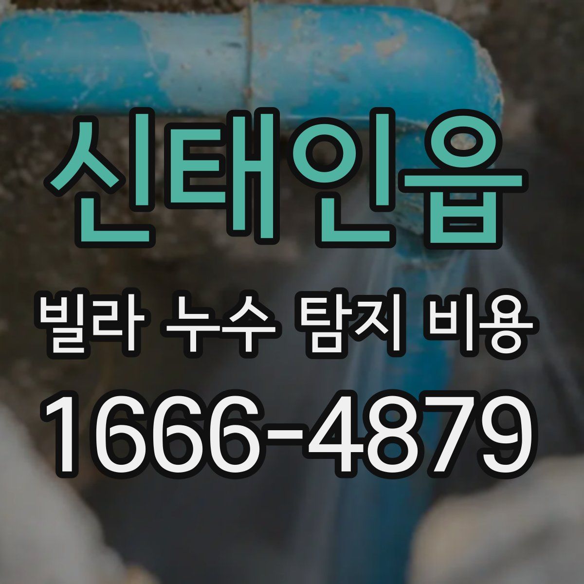 신태인읍 빌라 누수 탐지 비용