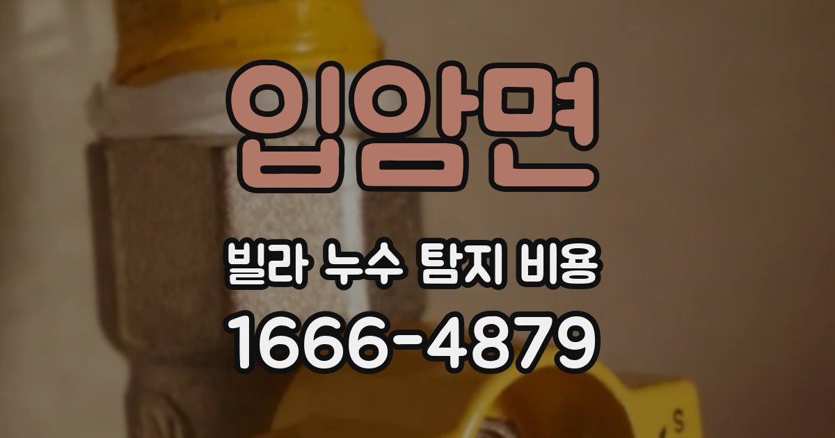입암면 빌라 누수 탐지 비용