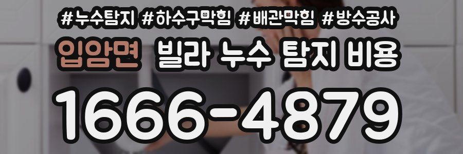 입암면 빌라 누수 탐지 비용