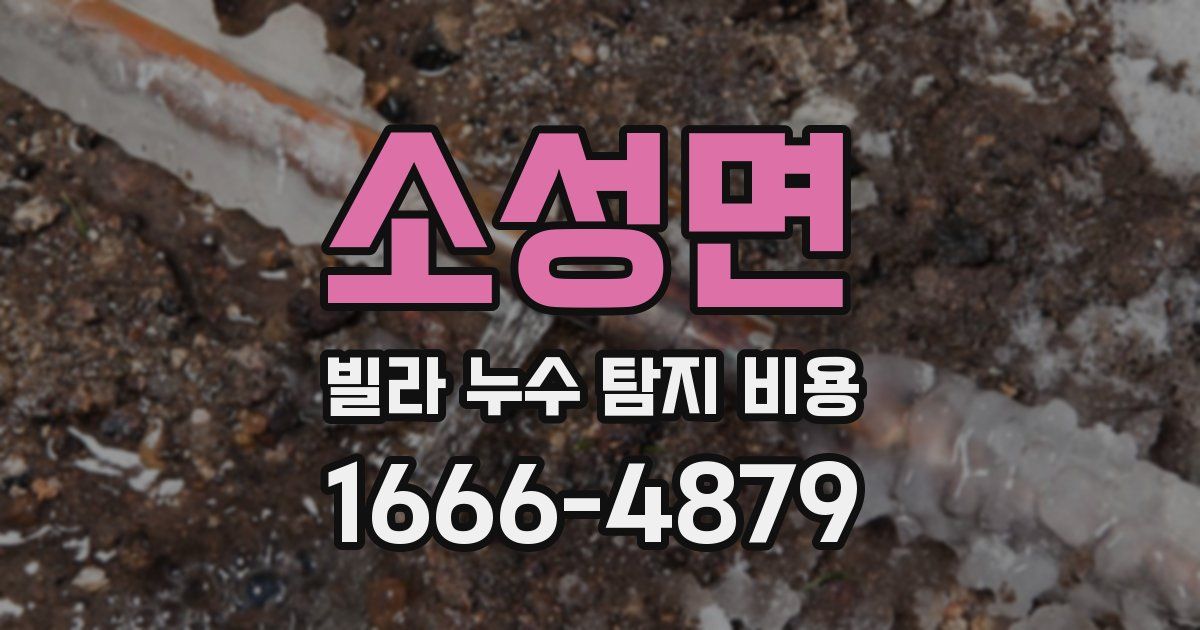 소성면 빌라 누수 탐지 비용