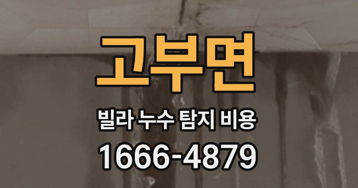 고부면 빌라 누수 탐지 비용