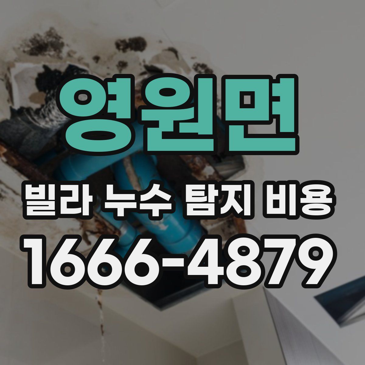 영원면 빌라 누수 탐지 비용