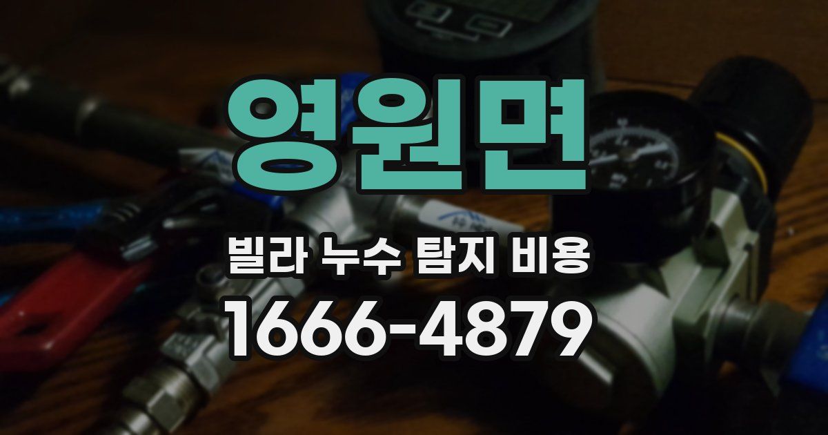 영원면 빌라 누수 탐지 비용