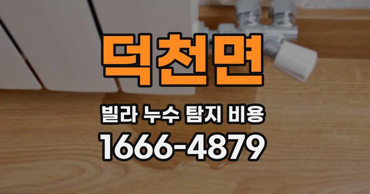 덕천면 빌라 누수 탐지 비용