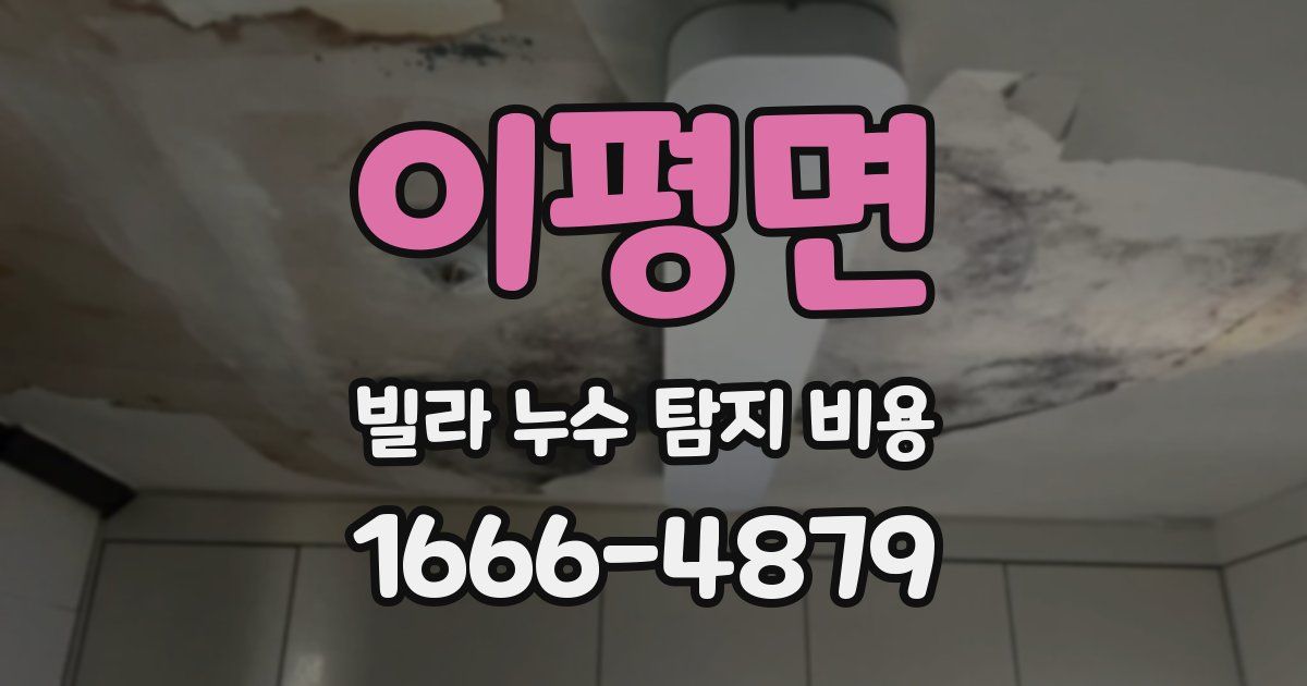 이평면 빌라 누수 탐지 비용