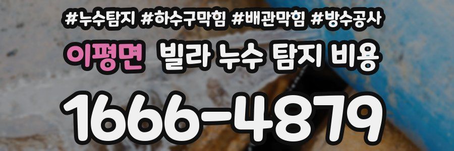 이평면 빌라 누수 탐지 비용