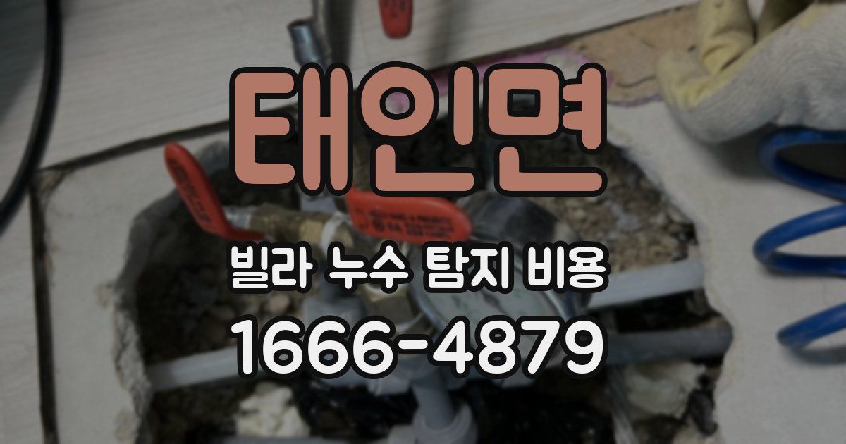 태인면 빌라 누수 탐지 비용