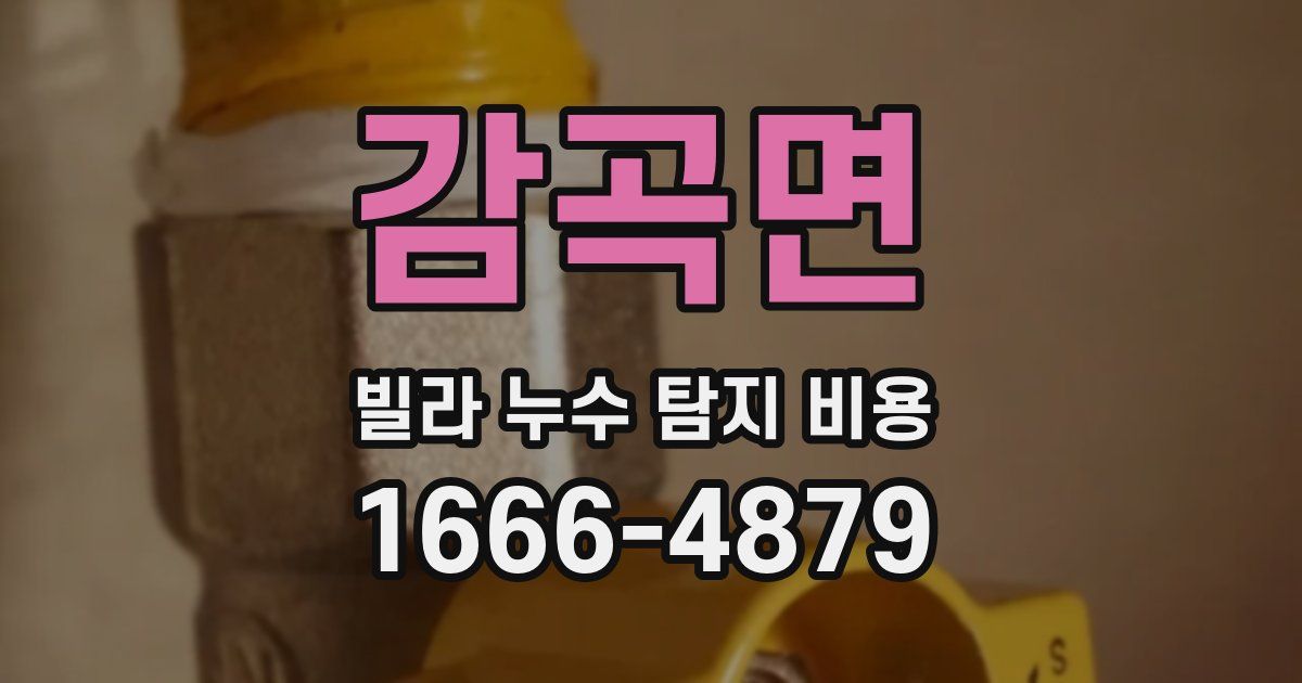 감곡면 빌라 누수 탐지 비용